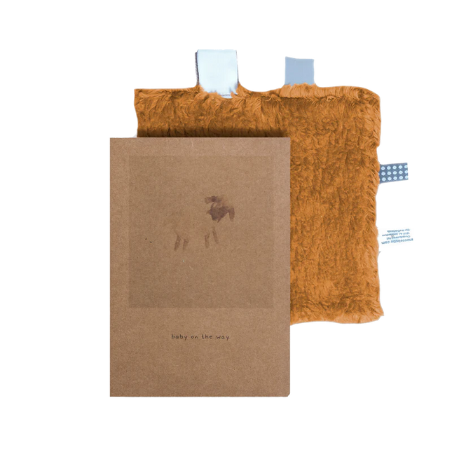 <tc>Snoozebaby</tc> Coffret cadeau Couverture câline et carte de faire-part de naissance Caramel