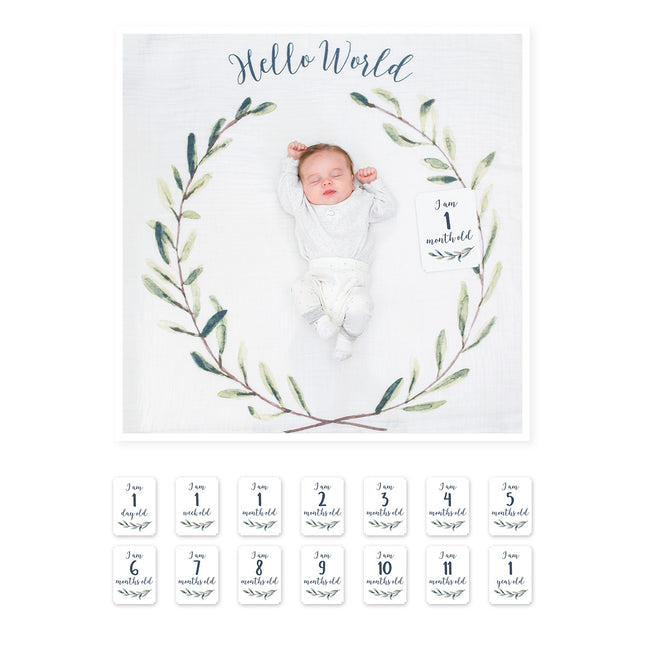 <tc>Lulujo</tc> Cartes de jalons Hello World