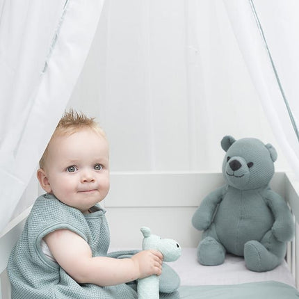 <tc>Baby's Only</tc> Sac de couchage Baby Teddy Classic Powder Blue 70cm