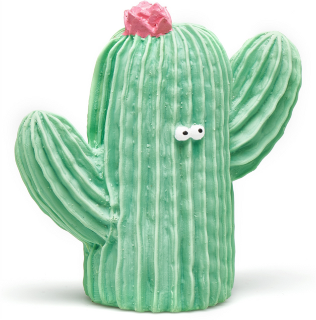 <tc>Lanco</tc> Anneau de dentition sensoriel Cactus vert