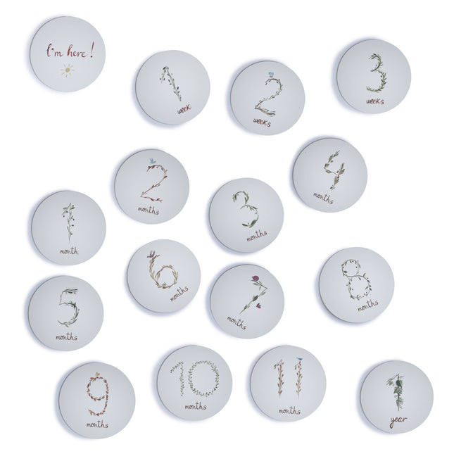 <tc>Mushie</tc> Cartes de jalons Ronde