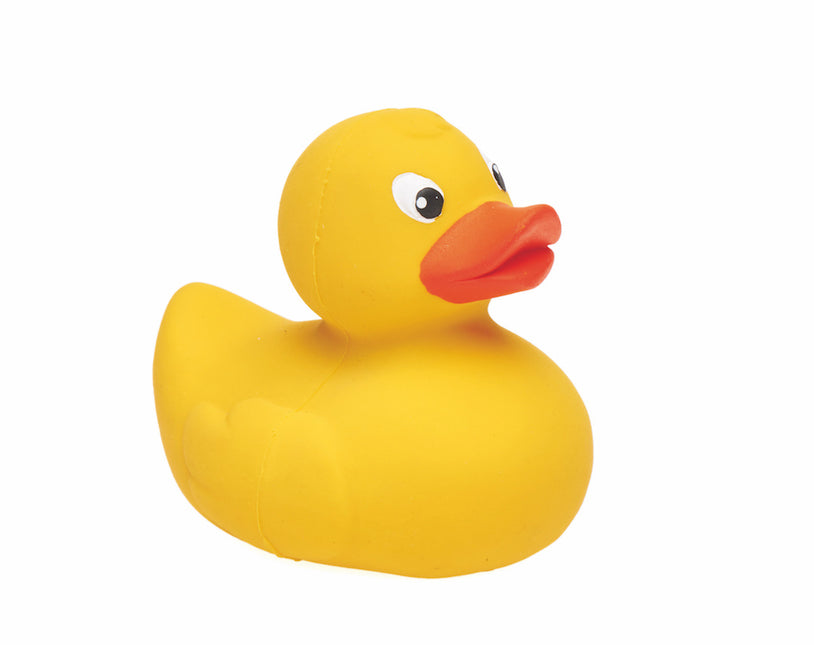 <tc>Lanco</tc> Jouets de bain Canard de bain Rena