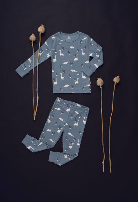 <tc>Fresk</tc> Pyjama bébé Dino 2 pièces