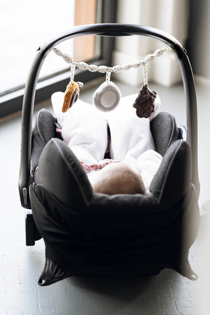 <tc>Snoozebaby</tc> Tendeur de chariot Pramtoy