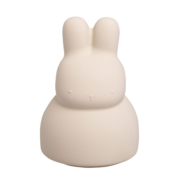 <tc>Baby's Only</tc> Tirelire Lapin Lin chaud