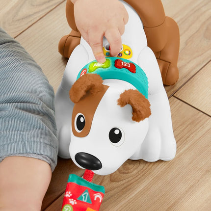 Fisherprice 123 Kruip Met Mij Puppy - Babywinkel - 0194735068159